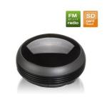   MICROLAB MD-112 mini USB (2B, 30-20000,1RMS, SDcard, FM-radio)